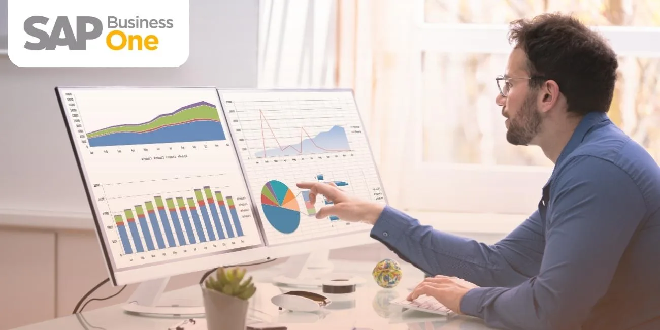 SAP Business One Veri Analizi