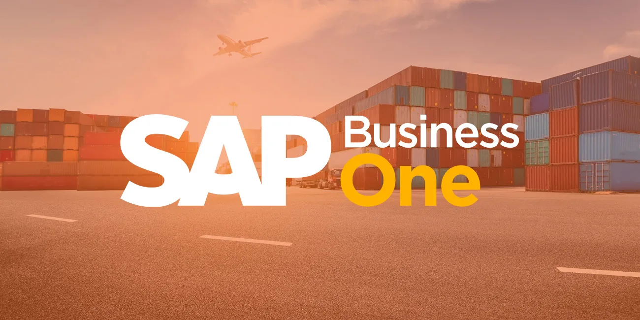 SAP Business One Lojistik