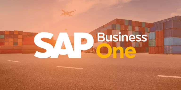 SAP Business One ile Lojistikte Mükemmel Yönetim